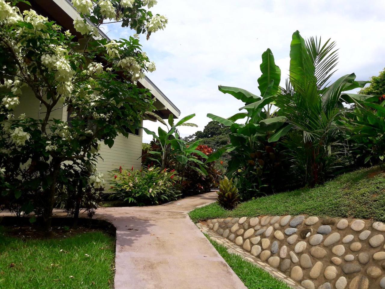 אוביטה Eden Tica Lodge מראה חיצוני תמונה