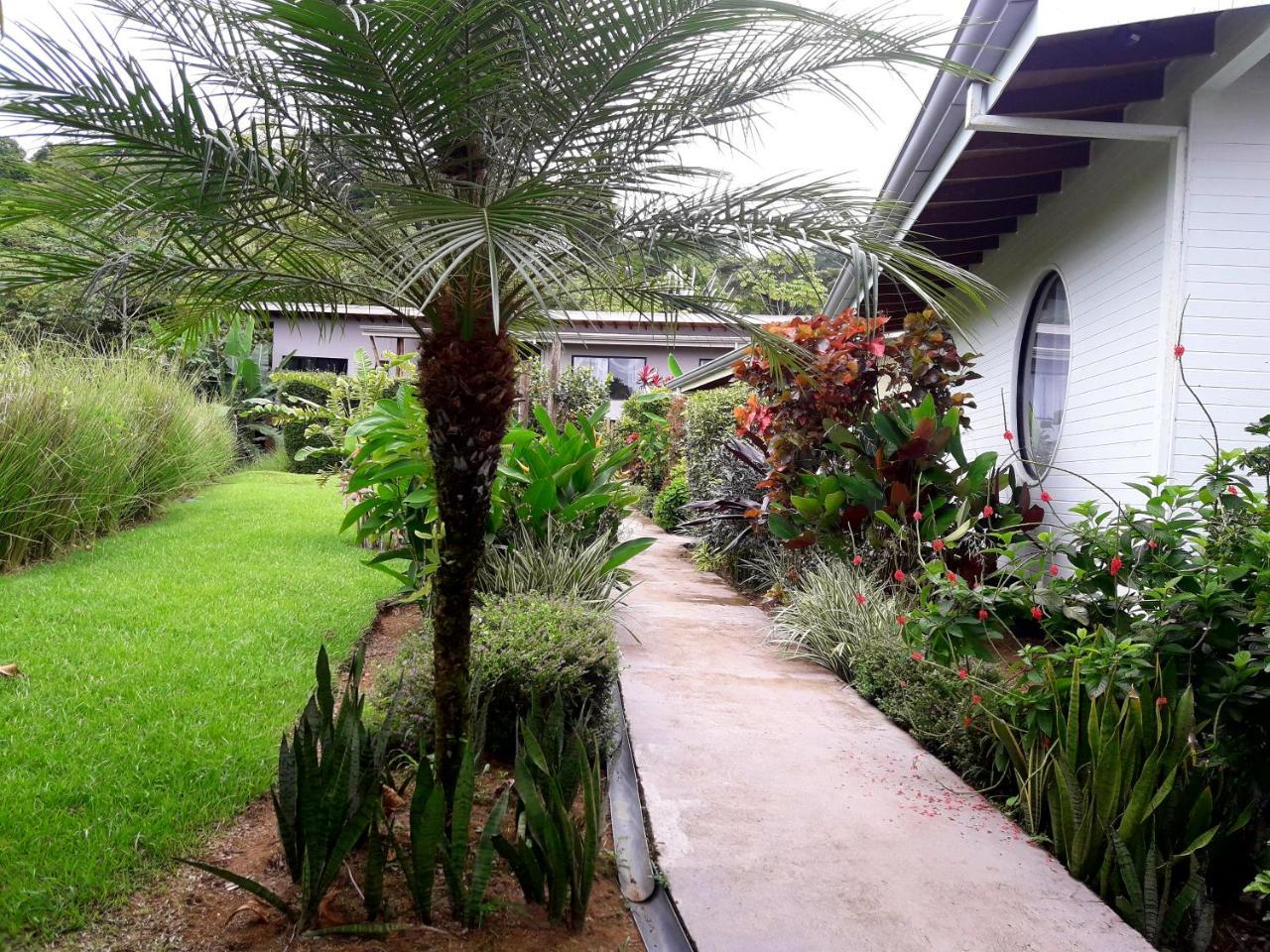 אוביטה Eden Tica Lodge מראה חיצוני תמונה