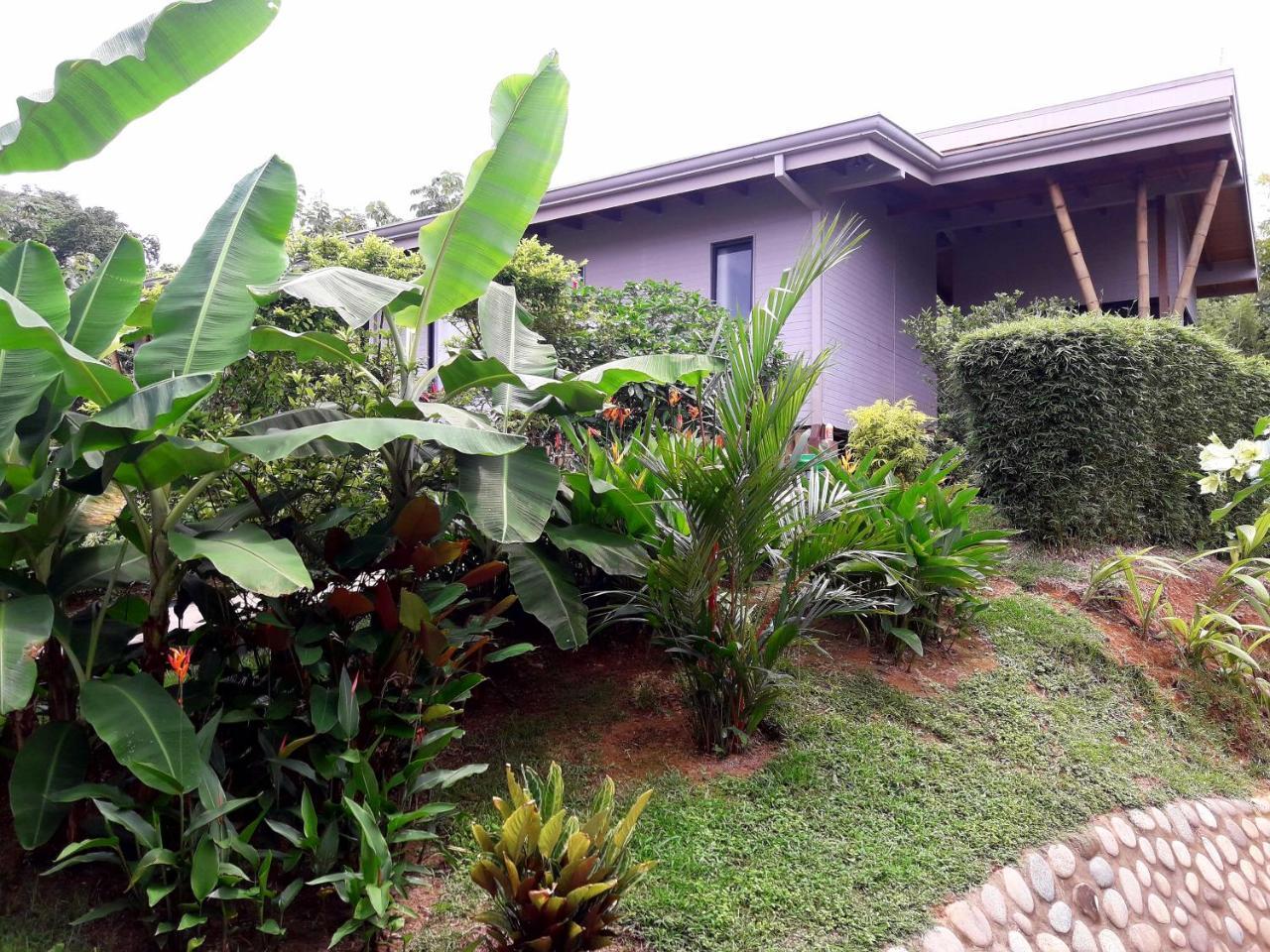 אוביטה Eden Tica Lodge מראה חיצוני תמונה