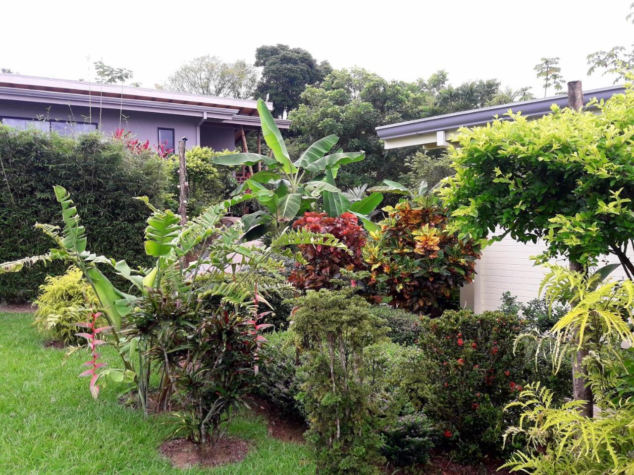 אוביטה Eden Tica Lodge מראה חיצוני תמונה