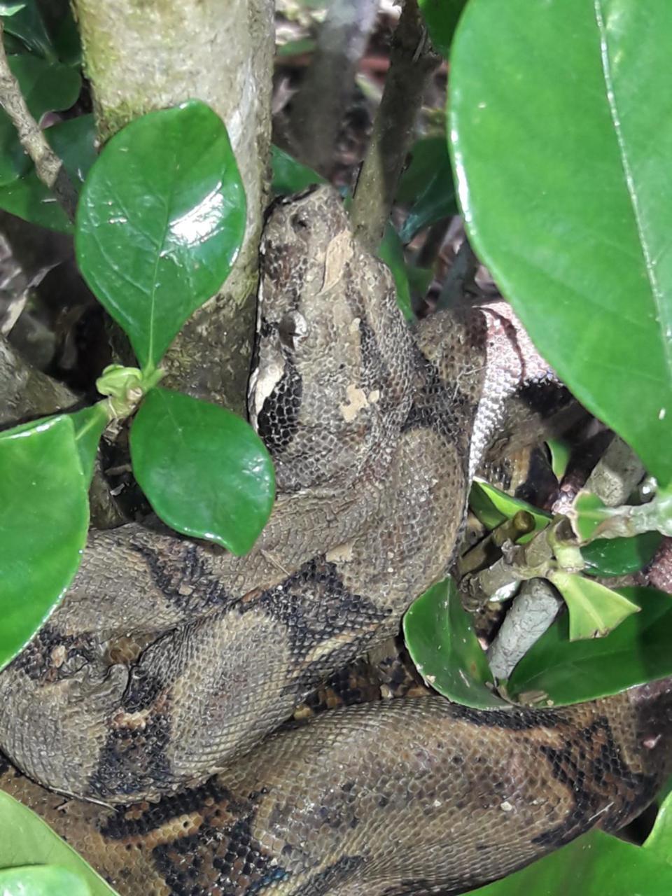 אוביטה Eden Tica Lodge מראה חיצוני תמונה